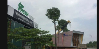 Thiết kế tiểu cảnh sân thượng đẹp hiện đại